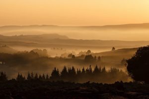 9 Tricks beim Nebel Fotografieren